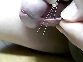 チンポに針を刺す