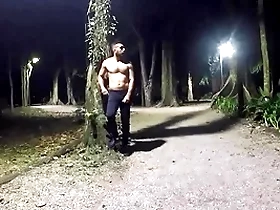 Strolling night after night elbow the park - vol 2 part 1