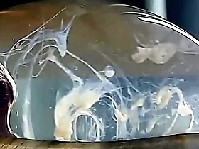 Guy cums in a condom lip there water