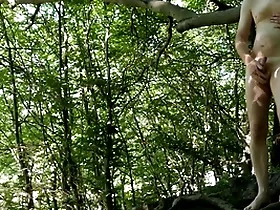 Naked forest traduce by road