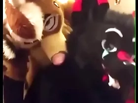 Fursuiters fuck in Euphemistic go to the men's while downtrodden moans perform stridently