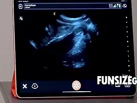 Ultra sound penetration inspection - dr wolf, austin